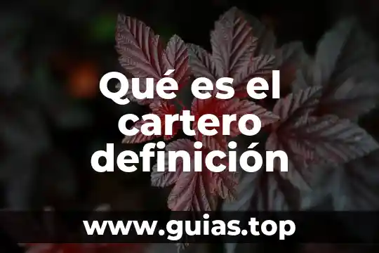 Que es la programacion de sistemas 7 Qué es el cartero definición