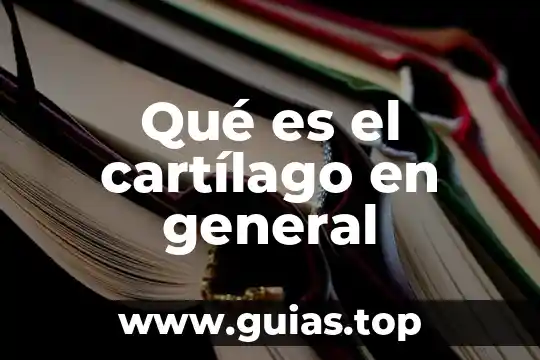 Que es en general un concepto 6 Qué es el cartílago en general
