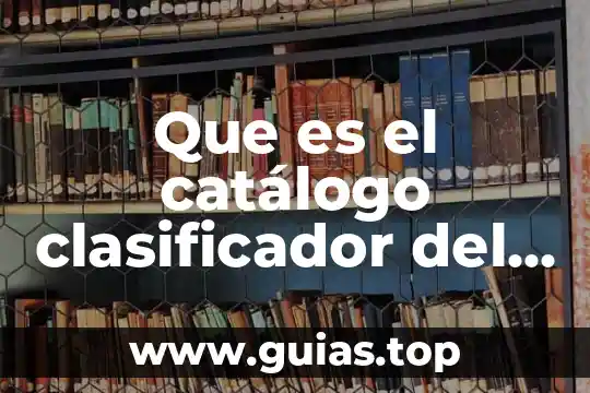 Que es un objeto en clases c 3 Que es el cat谩logo clasificador del objeto del gasto