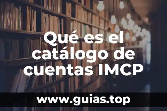 Que es una persona barco 7 Qué es el catálogo de cuentas IMCP