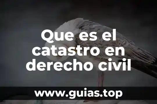 Que es una solicitar de nombre para el registro civil 6 Que es el catastro en derecho civil