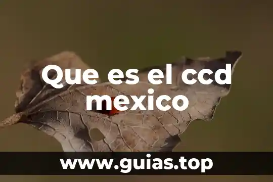 Que es un chiflon en mexico 4 Que es el ccd mexico