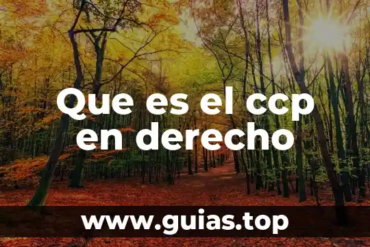 Que es escepticismo en derecho 7 Que es el ccp en derecho