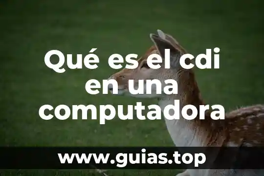 Que es una computadora estrella 5 Qué es el cdi en una computadora