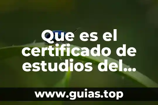 Que es ser superior a alguien 8 Que es el certificado de estudios del nivel medio superior