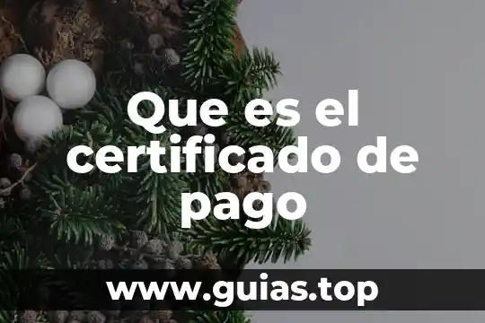 Que es un certificado de firma electronica avanzada 6 Que es el certificado de pago