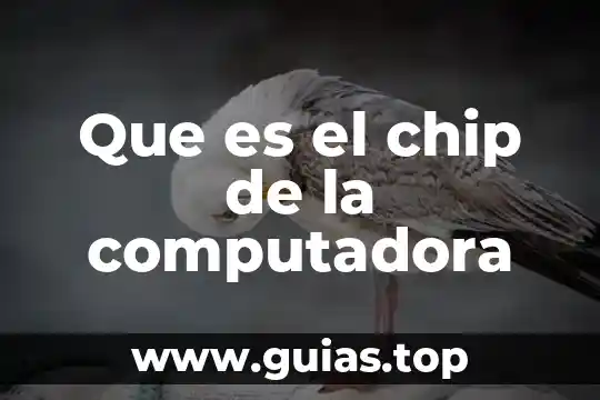 Que es una computadora cómo son sus componentes 8 Que es el chip de la computadora