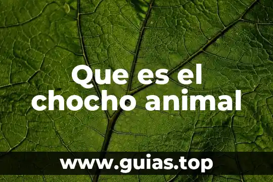Que es una habitat animal 7 Que es el chocho animal