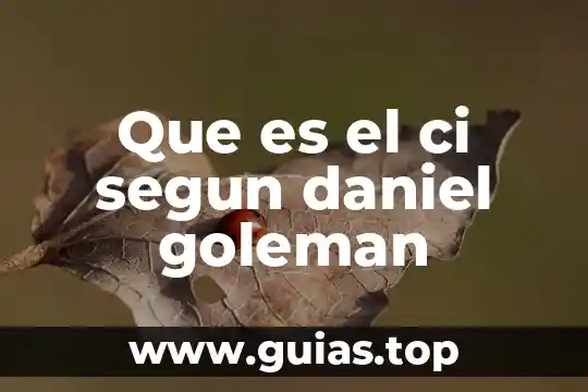 Qué es la inteligencia emocional definición autor Daniel Goleman 6 Que es el ci segun daniel goleman