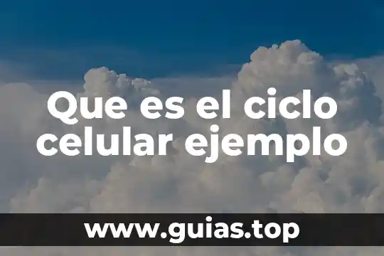 Que es un ciclo biogeoquimico yahoo 3 Que es el ciclo celular ejemplo