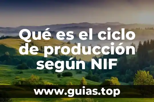 Qué es la inversión en planta según las NIF 5 Qué es el ciclo de producción según NIF