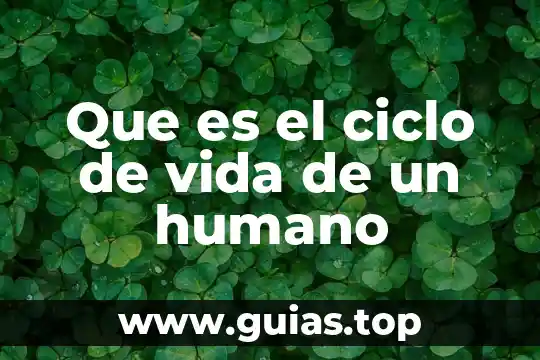 Pqra que es el fintro de muerte en vida 5 Que es el ciclo de vida de un humano