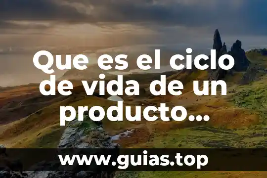 Que es libertad ejemplos de niños 3 Que es el ciclo de vida de un producto ejemplos