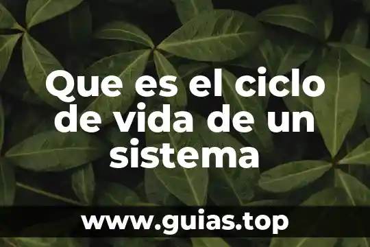 Que es infiltracion del ciclo del agua 3 Que es el ciclo de vida de un sistema