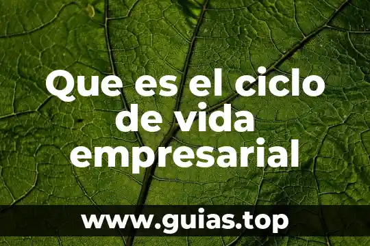 Que es un ciclo biogeoquimico yahoo 4 Que es el ciclo de vida empresarial