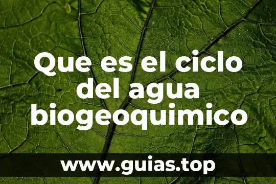 Pot que es importante conservar el agua 3 Que es el ciclo del agua biogeoquimico