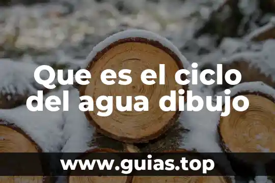 Que es infiltracion del ciclo del agua 4 Que es el ciclo del agua dibujo