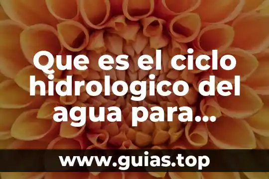 Que es infiltracion del ciclo del agua 7 Que es el ciclo hidrologico del agua para niños