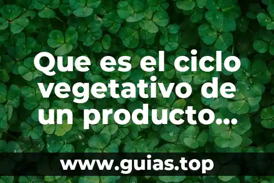 Que es la autoria y tipos de autoria 6 Que es el ciclo vegetativo de un producto agrícola