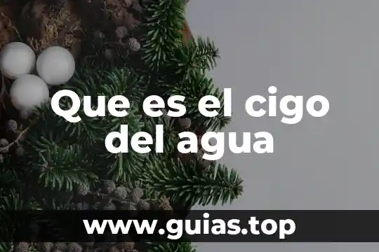 Microbiota que es en el agua 3 Que es el cigo del agua