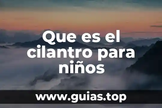 Que es el area para niños concepto 7 Que es el cilantro para niños