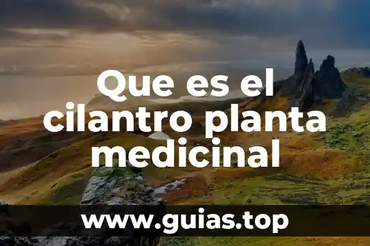 Santa maria planta medicinal que es 6 Que es el cilantro planta medicinal