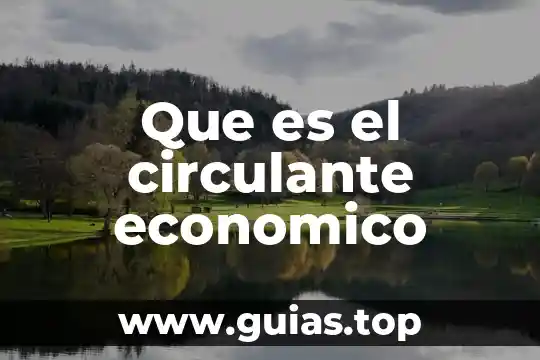Que es una ondas electromagneticas y tipos 8 Que es el circulante economico