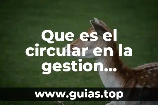 Que es principio de gestion de calidad 4 Que es el circular en la gestion documental