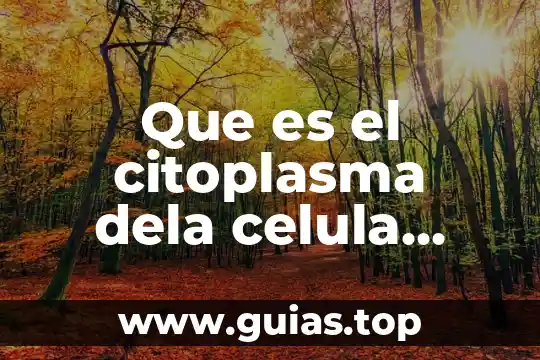 Que es el maltrato y abandono animal 3 Que es el citoplasma dela celula animal