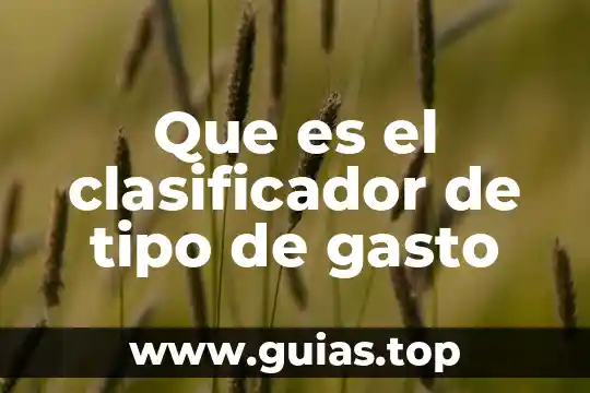 Que es el gasto publico y de que esta compuesto 6 Que es el clasificador de tipo de gasto
