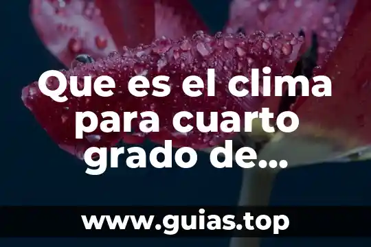 Que es el sistema operativo para niños de primaria 7 Que es el clima para cuarto grado de primaria