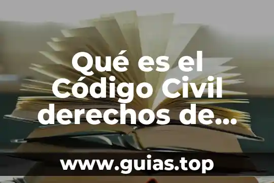 Que es terapia fisicas 8 Qué es el Código Civil derechos de personas físicas