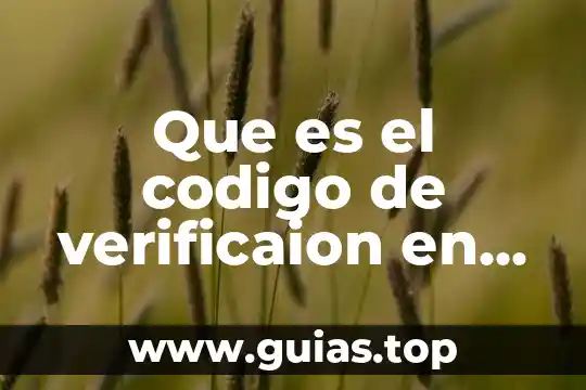 Qué es escanear código QR 6 Que es el codigo de verificaion en mi curp
