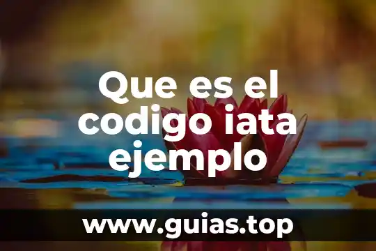 Que es el concepto pasivo en contabilidad ejemplo 6 Que es el codigo iata ejemplo