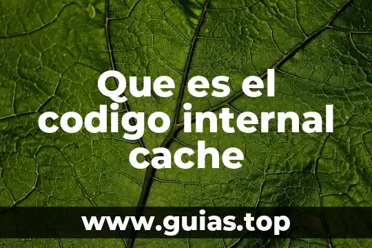 Qué es escanear código QR 5 Que es el codigo internal cache