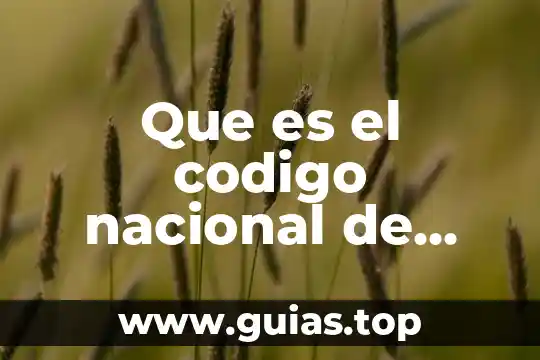 Que es un manual de procedimientos de enfermeria 4 Que es el codigo nacional de procedimientos penales concepto