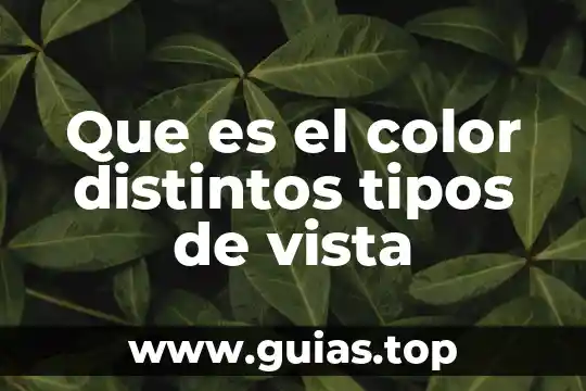 Punto de vista que es ética 8 Que es el color distintos tipos de vista