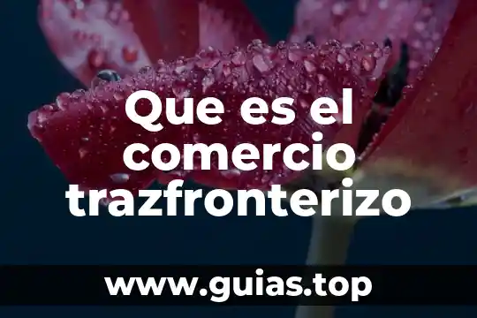 Que es el comercio trazfronterizo