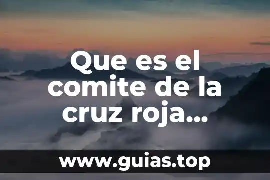 Que es una especificacion funcional 8 Que es el comite de la cruz roja internacional