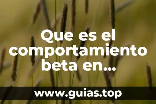 En psicología que es percepción 3 Que es el comportamiento beta en psicologia
