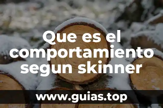 Vigilancia del comportamiento de riesgo juvenil que es 4 Que es el comportamiento segun skinner