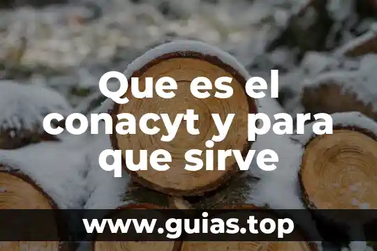 Qué es lógica matemática y para qué sirve 7 Que es el conacyt y para que sirve