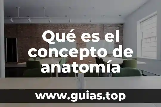 Qué es proletariado concepto 7 Qué es el concepto de anatomía