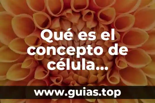 Célula elodea que es 6 Qué es el concepto de célula eucariota