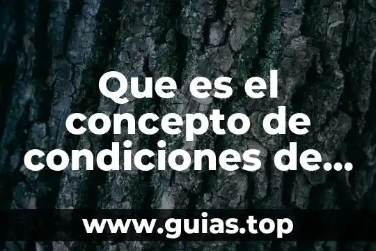 Que es el diagnostico de las condiciones de trabajo 4 Que es el concepto de condiciones de pago