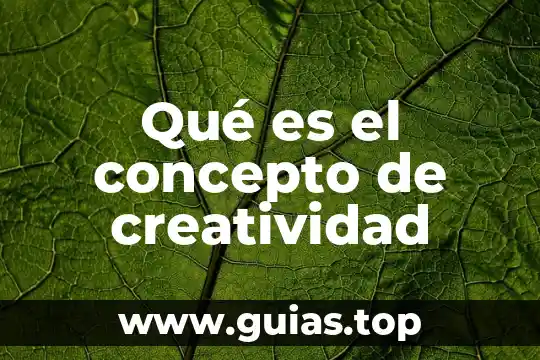 Que es un epp concepto 8 Qué es el concepto de creatividad