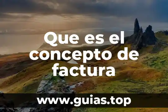 Qué es sal de uvas picot 7 Que es el concepto de factura