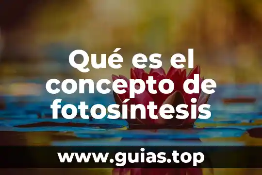 Que es la fotosintesis que necesita la planta para realizarla 6 Qué es el concepto de fotosíntesis