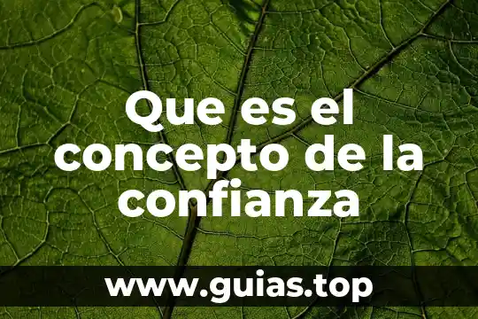 Qué es la obesidad y tipos 8 Que es el concepto de la confianza