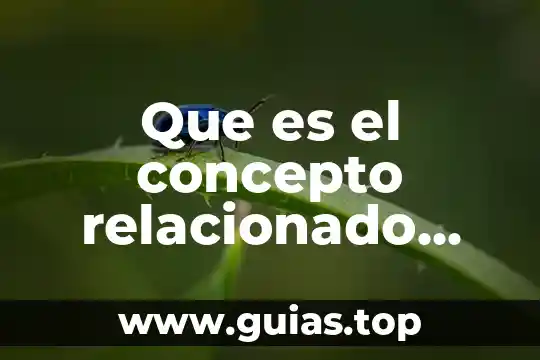 Concepto de que es el tabaquismo 3 Que es el concepto relacionado con la gravedad soporte salto